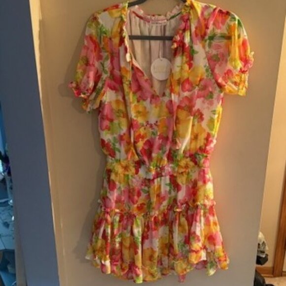 W.A.P.G. We're All Pretty Girls Floral Rosie Dress - Mixology - L - NWT - Picture 1 of 11